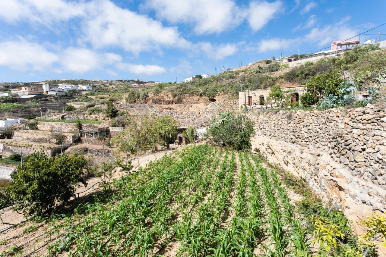 Eco Holidays House Raices Villa Fasnia Buitenkant foto